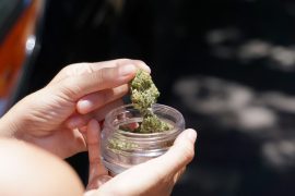 Consommation du CBD : 4 façons intéressantes de profiter de ses bienfaits !