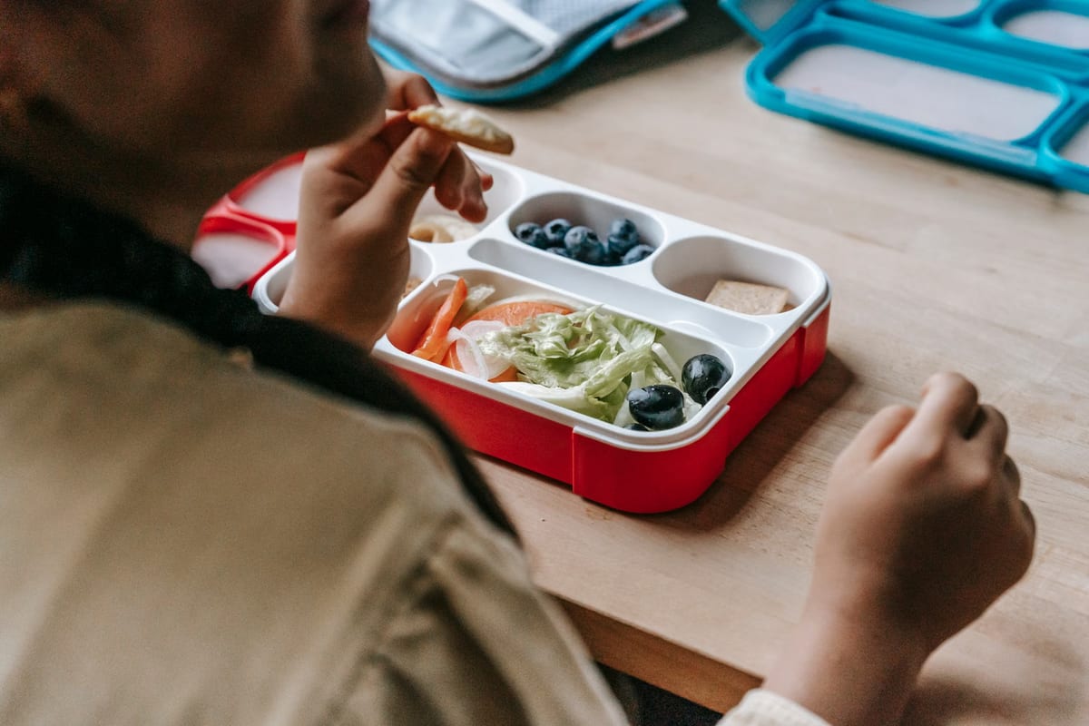 Les meilleures boîtes à lunch électriques 2020 - Tarifs & comparatif