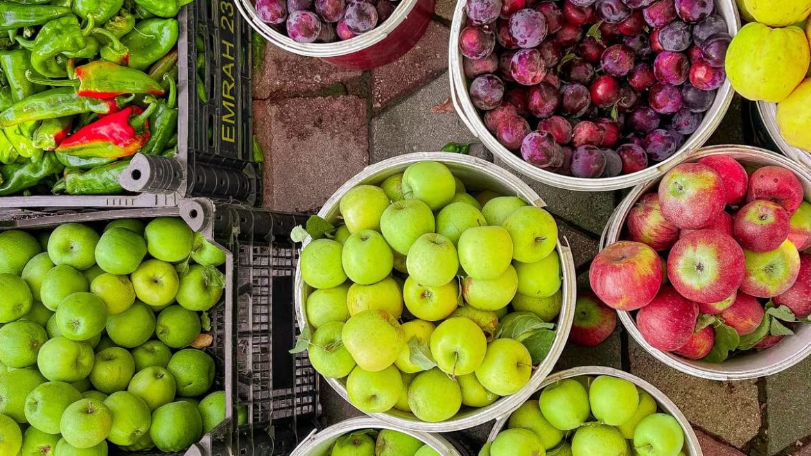 Prévenir les maladies chroniques par l'alimentation : guide pratique